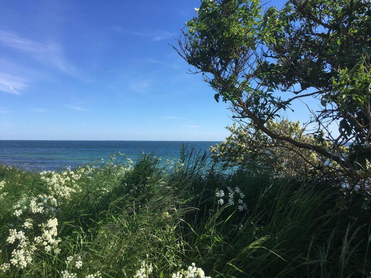 Traumhaftes Strand-Apartment Mit Meerblick Staberdorf ภายนอก รูปภาพ